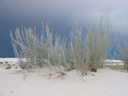 White Sands National Monument, NM
